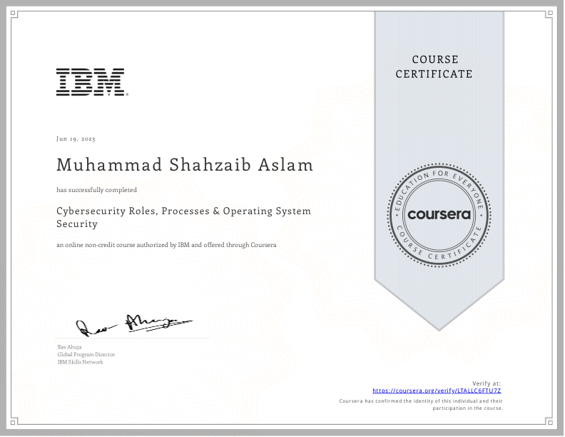 Cyber Security Roles